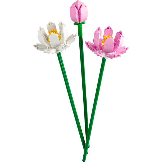 FLEURS DE LOTUS CREATOR