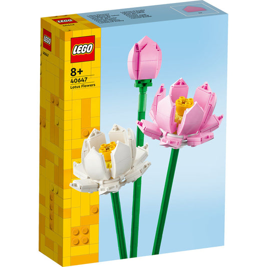 FLEURS DE LOTUS CREATOR