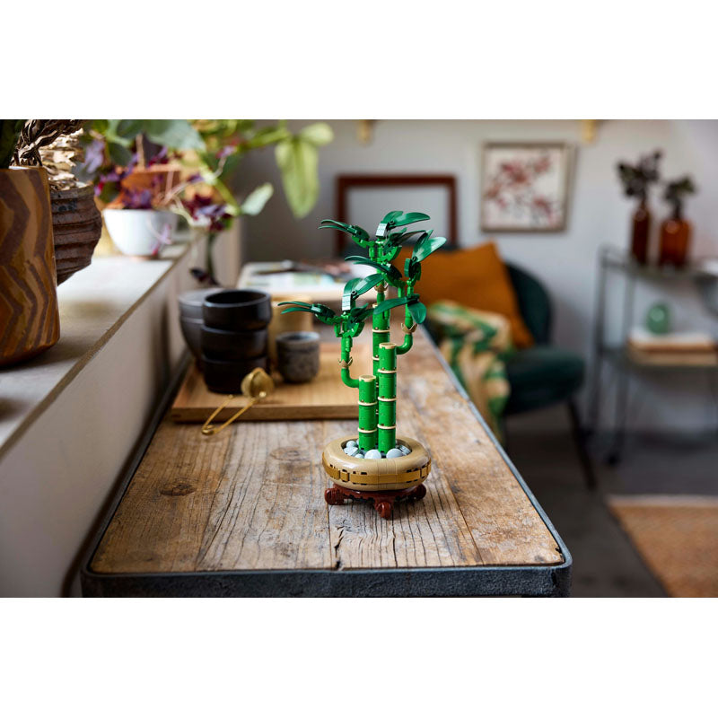 BAMBOO DE LA CHANCE BOTANIC